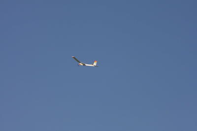 IMG 1173
